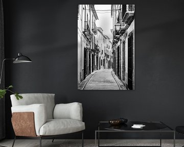 Photo en noir et blanc d'une rue typique d'un village espagnol de la Costa Blanca. sur Arte D'España