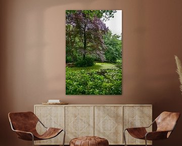 a large red beech tree on the pond bordered by trees with red and green leaves by ChrisWillemsen