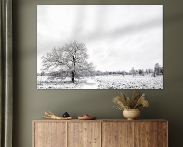 L'hiver dans les landes sur Sjoerd van der Wal Photographie