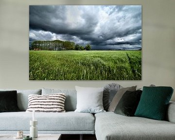 Dunkle Gewitterwolken über der Wiese von Sjoerd van der Wal