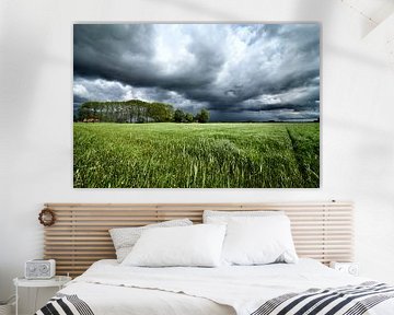 Dark storm clouds over the meadows by Sjoerd van der Wal