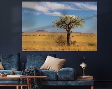 Bloeiende boom in Namibië van Anneke Hooijer