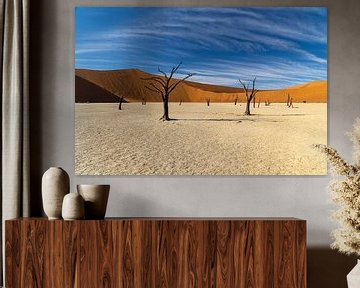 Deadvlei IV sur Anneke Hooijer