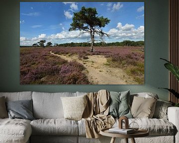 Blooming heather by Evert-Jan Hoogendoorn