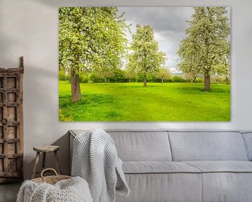 Bloeiende fruitbomen in de lente in Zuid-Limburg van Sjoerd van der Wal Fotografie