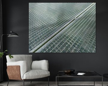 Greenhouse for growing vegetables aerial view from above by Sjoerd van der Wal Photography