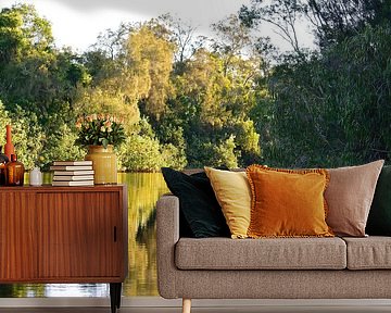 Zurück zum Cootharaba-See