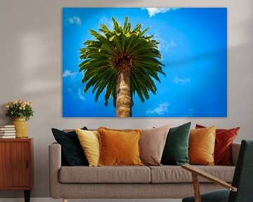 Palm tree by Onno van Kuik