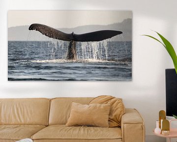 Duikende bultrug walvis in Canada van Leon Brouwer