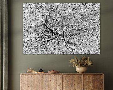 Extraterrestrial life