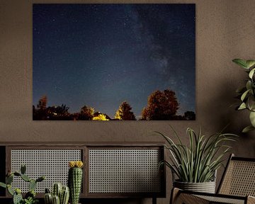 Nachthimmel mit Sternen und Bäumen von Animaflora PicsStock