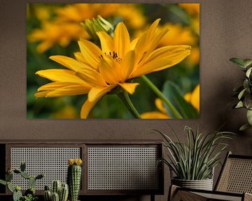 Une fleur jaune art déco pour votre mur