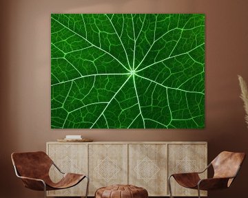 Nerveus Groen (Bladnerven in Groen) van Caroline Lichthart