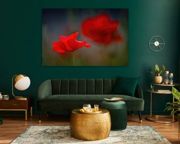 Poppy against dark background by Gonnie van de Schans