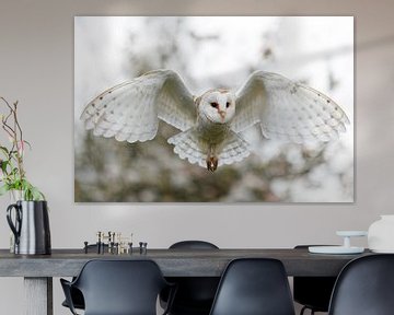 barn owl flying in an orchard with the blossom in the background by Henk Bogaard