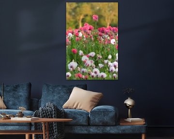 Poppies, lots of poppies by Moetwil en van Dijk - Fotografie