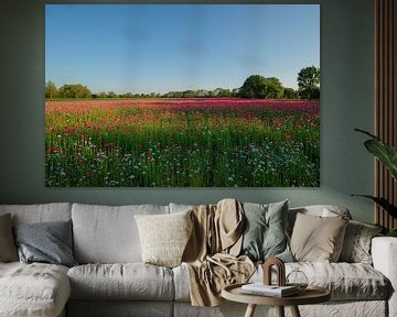 Wide view of poppy field by Moetwil en van Dijk - Fotografie