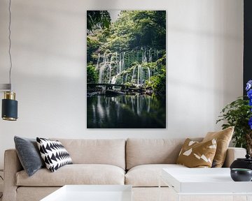 Chute d'eau enchanteresse dans la jungle de Bali, Indonésie sur Troy Wegman