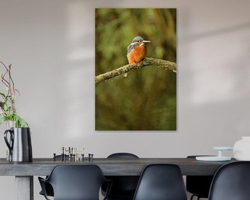 Eisvogel auf Ast von Moetwil en van Dijk - Fotografie