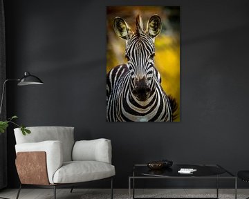 Zebra, Zuid-Afrika van W. Woyke