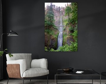 Multnomah Falls by Tashina van Zwam