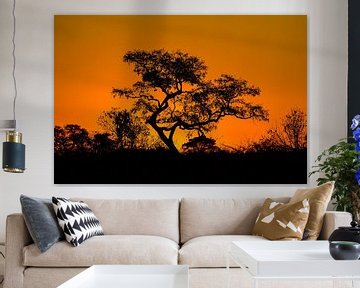Sunset in de okavanga delta van Jurgen Hermse
