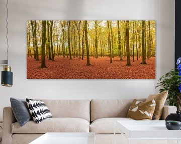 Panorama of a beech forest on an early fall day by Sjoerd van der Wal Photography