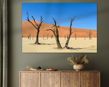 Sossusvlei Namibie van Jurgen Hermse