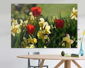 De eerste bloemen in de tuin van Claude Laprise