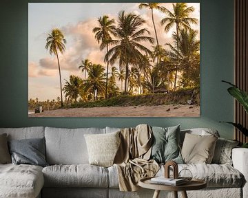 paradise beach with palm trees | Brazil | travel photography by Lisa Bocarren