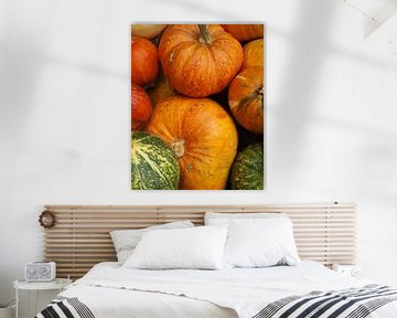 La saison des citrouilles sur Christina Bauer Photos