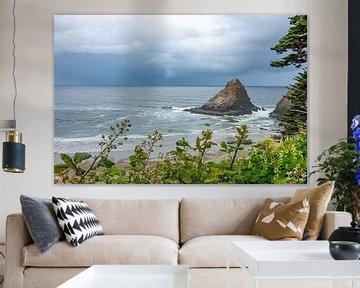 Oregon's Coast by Tashina van Zwam