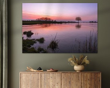 Zonsondergang bij het water met boom op krib van Moetwil en van Dijk - Fotografie