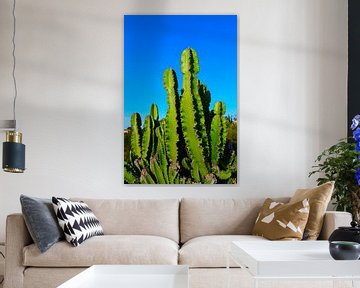 Grote cactusplant tegen felblauwe lucht van Studio LE-gals