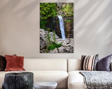 Bloem op de voorgrond, stromende waterval in groen bos op de achtergrond van Studio LE-gals