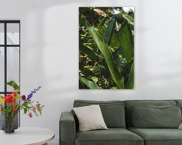 Lush Tropical Plant with Green Leaves by Troy Wegman