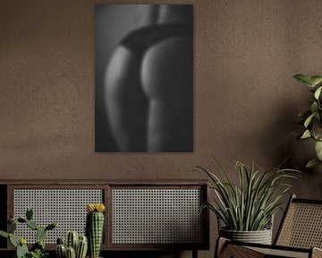 Kurven von martina westerman