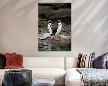 Pinguïn paar van Sophie Luther