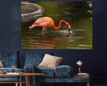 Flamingo van Sophie Luther