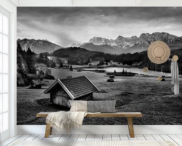 Almwiese mit Bergsee im Karwendelgebirge in den Alpen in schwarzweiss