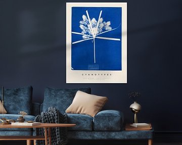 Anna Atkins - Cyanotypes - Carix America