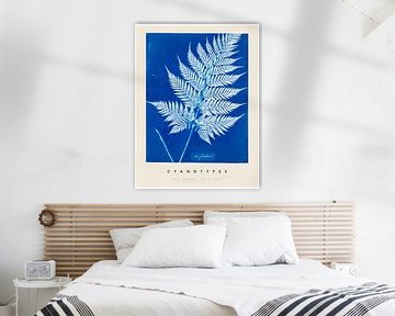 Anna Atkins - Cyanotypes - Nouvelle-Zélande