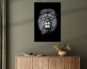 King of the jungle B&W by Dave Adriaanse