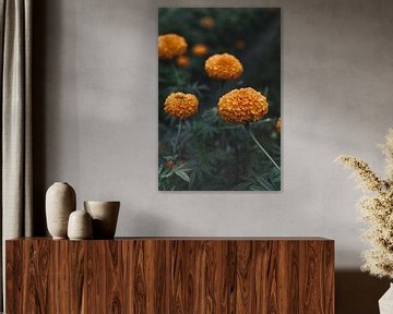 Artistieke tropische bloem met donkere achtergrond