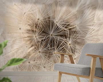 A square of dandelion fluff in warm brown tones by Marjolijn van den Berg