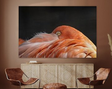 Flamingo van Rudie Knol