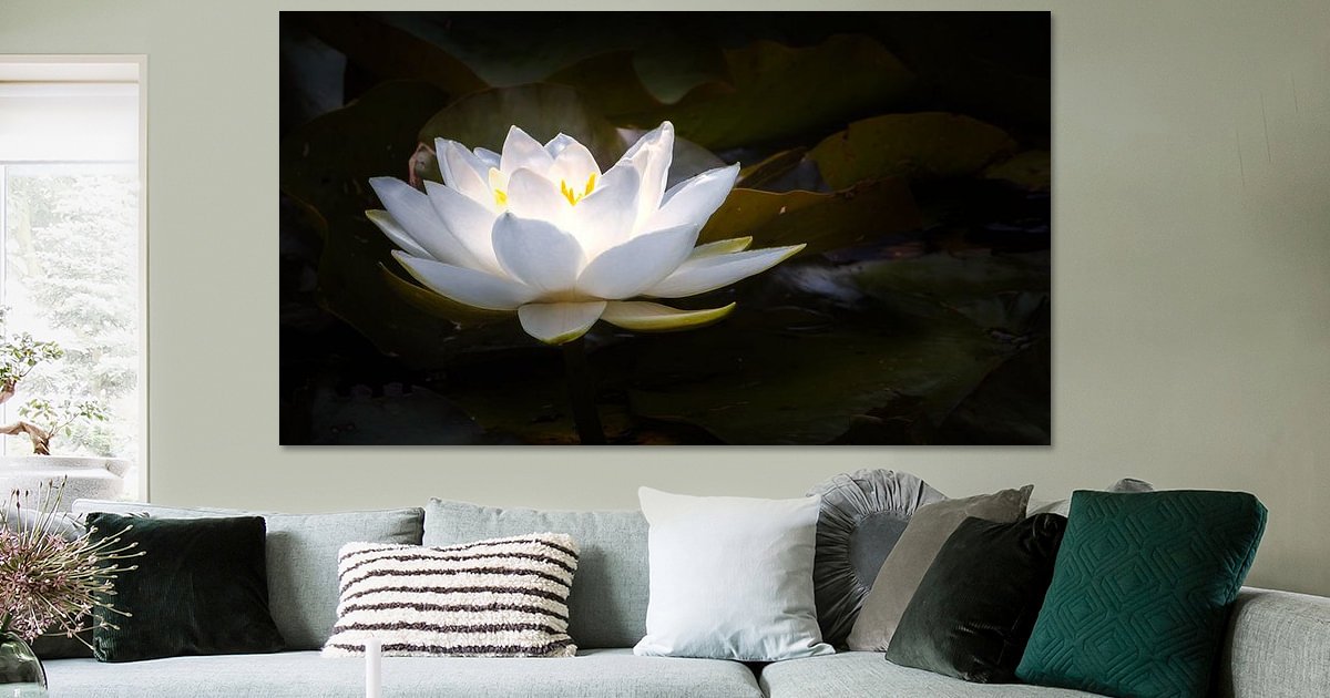 Lichtgevende waterlelie van Jan van der Knaap op canvas, behang en meer