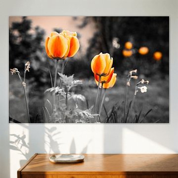 Des fleurs d'ambiance