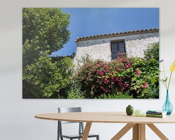 Gîte grec à Zakynthos