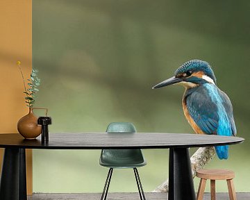 Kingfisher by Martin Bredewold